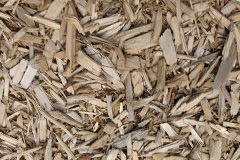 biomass boilers Eaglesfield